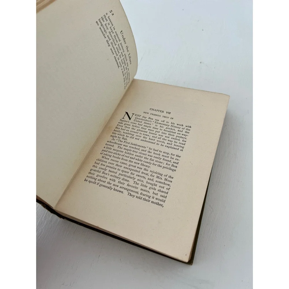 1906 Under the Lilacs by Louisa May Alcott Cloth Bound‎ Edwardian Book